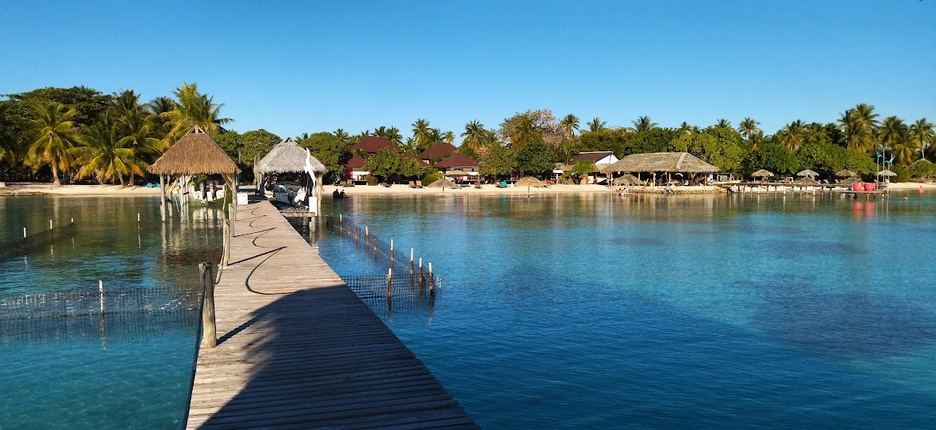 Ponton et plage bordée de cocotiers